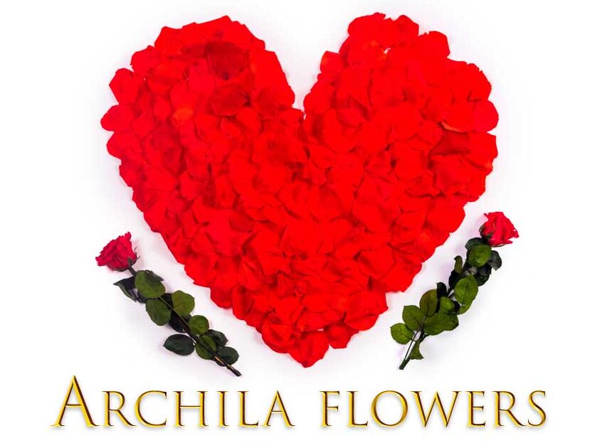 Archila Flowers San Francisco 